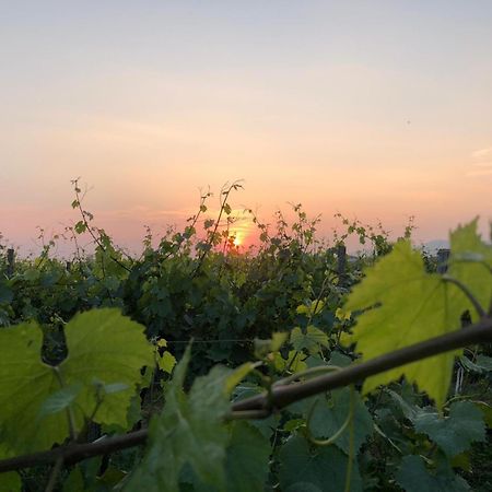 에르부스코 La Corte Del Bona - Vicino Alle Cantine E A Circa 15 Minuti Dal Lago Di Iseo - 아파트 외부 사진