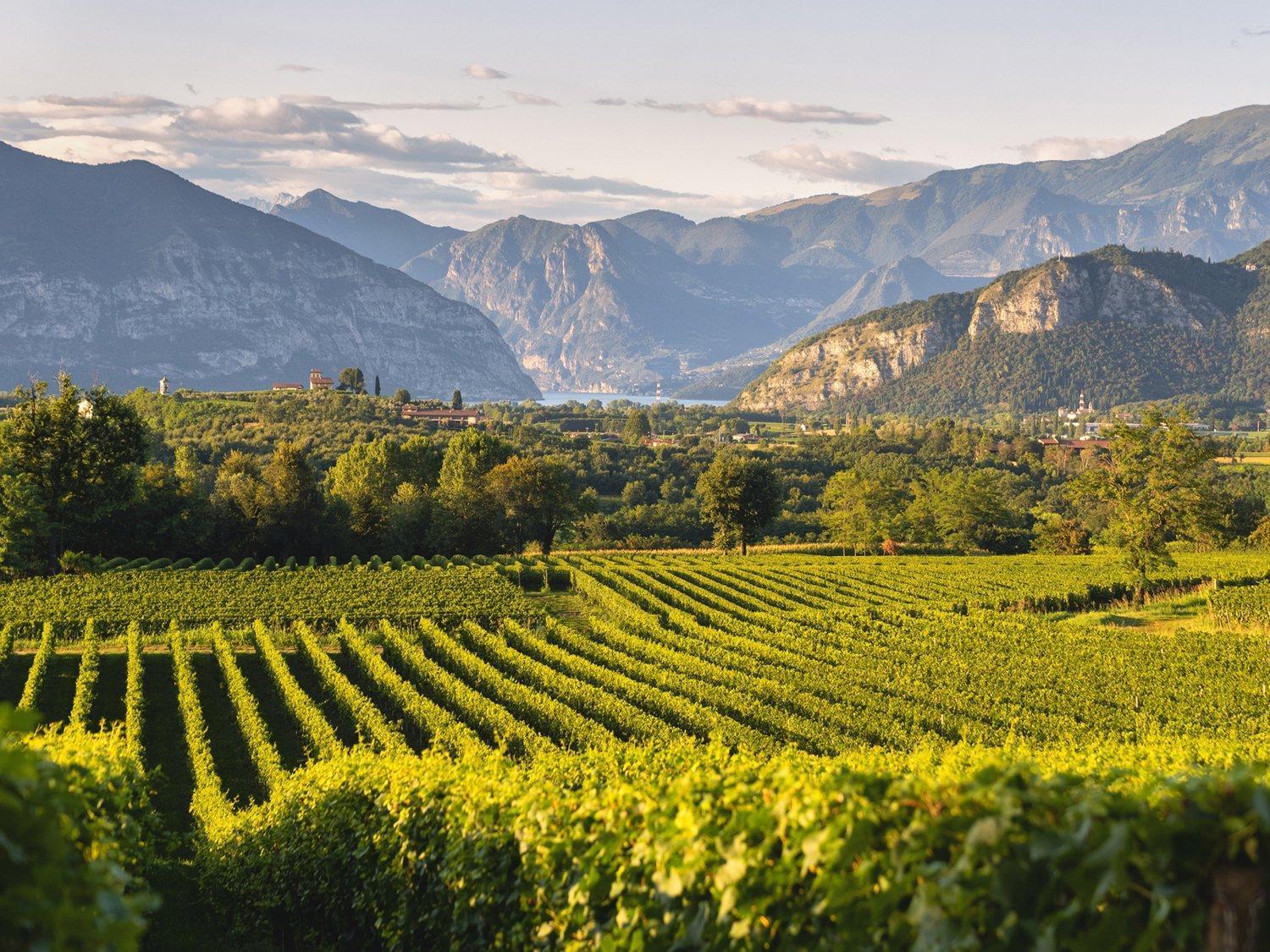 에르부스코 La Corte Del Bona - Vicino Alle Cantine E A Circa 15 Minuti Dal Lago Di Iseo - 아파트 외부 사진