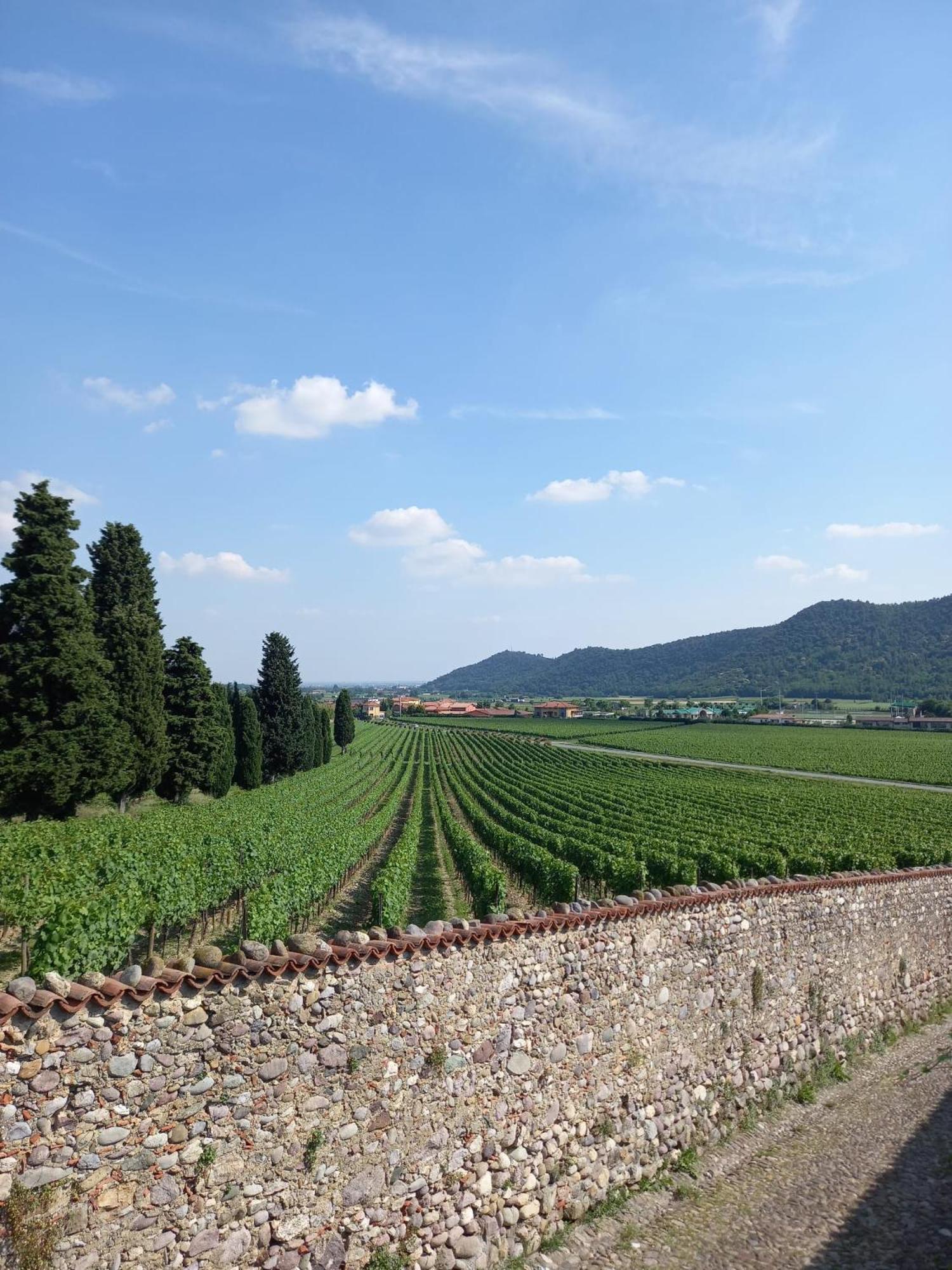 에르부스코 La Corte Del Bona - Vicino Alle Cantine E A Circa 15 Minuti Dal Lago Di Iseo - 아파트 외부 사진